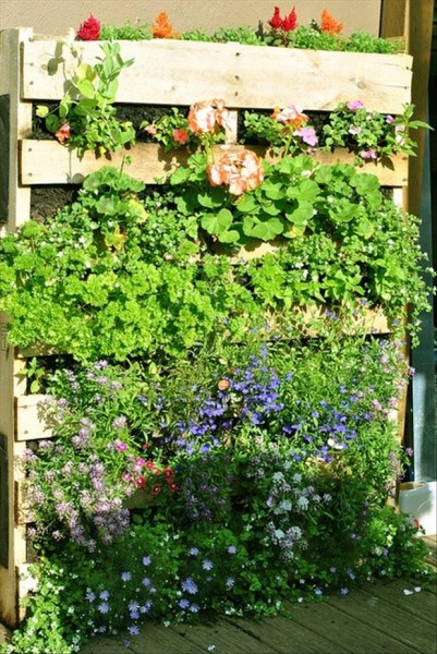 pallets-used-in-the-garden